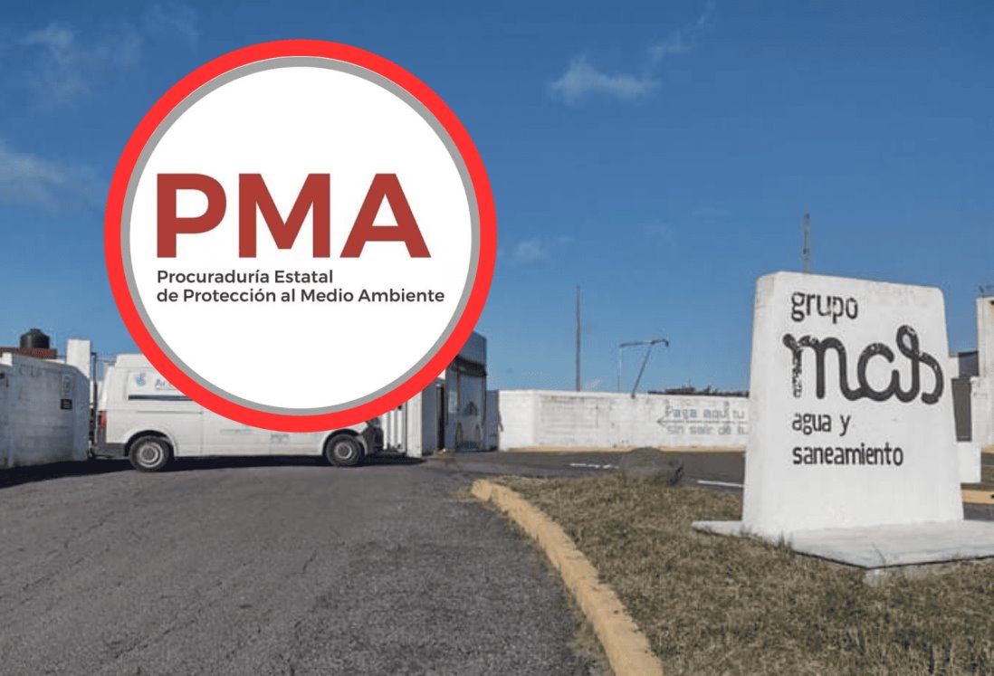 PMA entregará informe de inspecciones a Grupo MAS al Congreso de Veracruz