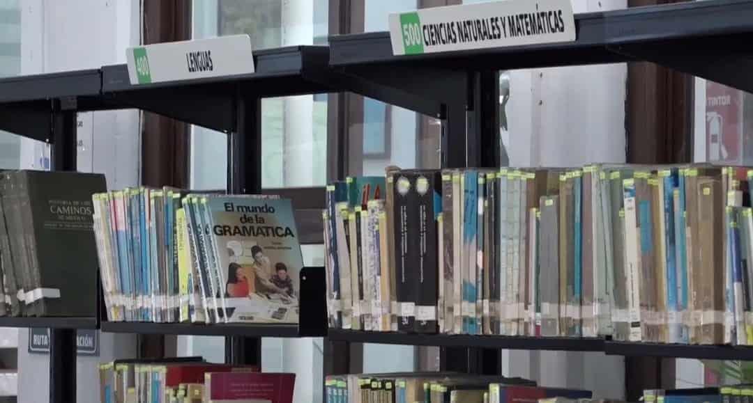 Bibliotecas de Veracruz realizan cursos de verano gratuitos