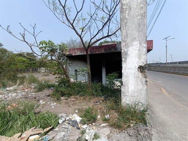 Temen por casas abandonadas en Las Amapolas, en Veracruz