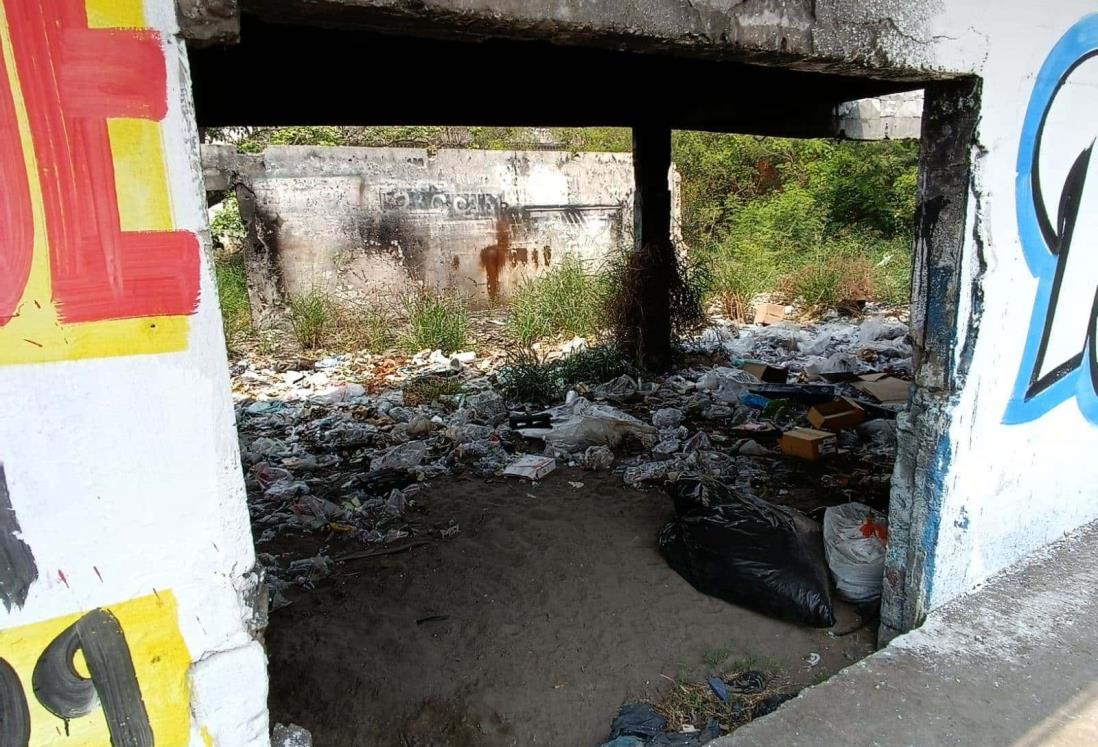 Temen por casas abandonadas en Las Amapolas, en Veracruz