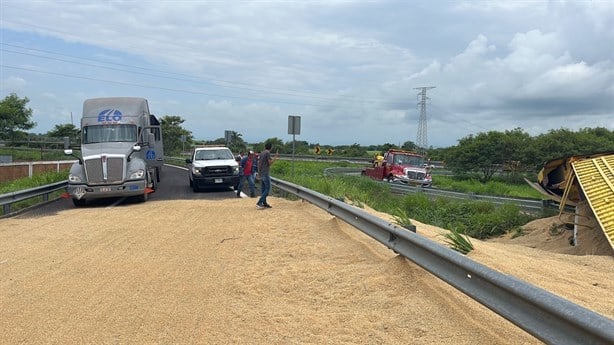 Vuelca tráiler cargado con cebada de cerveza en libramiento de Cardel