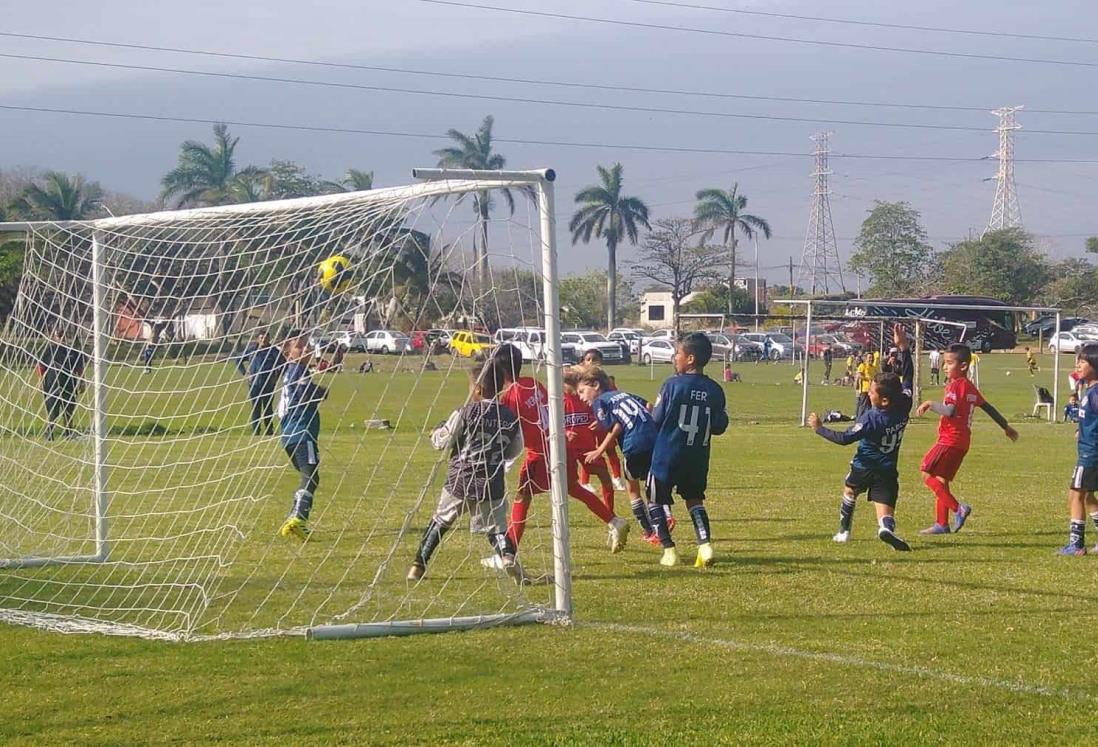 Tiburones Jrs, campeón en la Roberto Oropeza