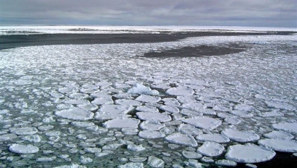 ¡Alerta máxima! Falta de hielo azota la Antártida