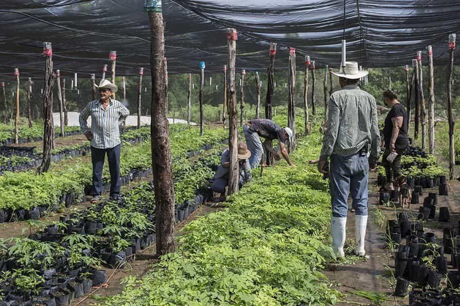 Apoyo millonario de México y Estados Unidos a Centroamérica para frenar la migración