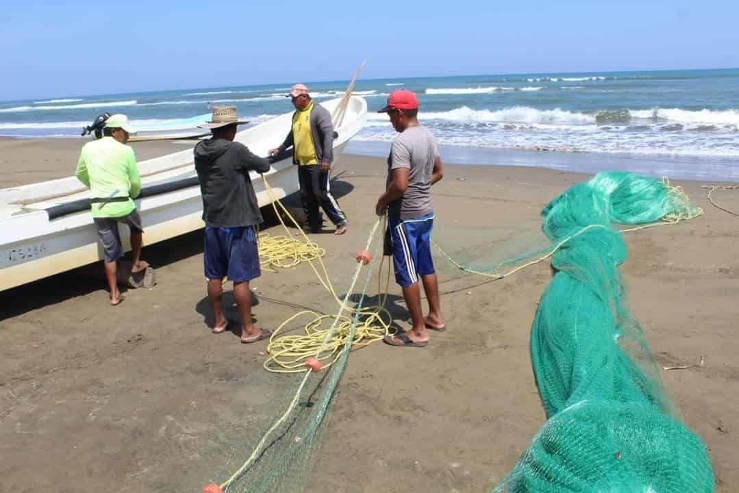 Reinicia la veda de pulpo para pescadores de Veracruz