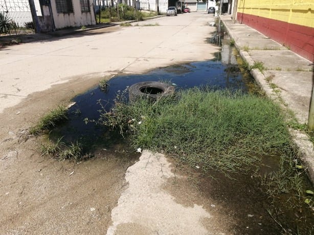 Piden atender fuga de aguas negras en la colonia Las Américas | VIDEO