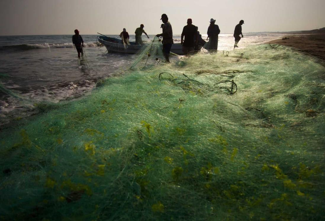 Meses críticos para pescadores en Veracruz; prevén recuperación en septiembre