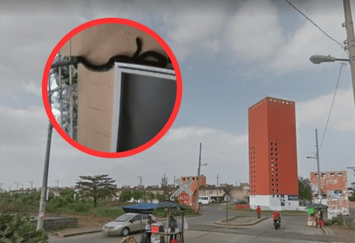 Hallan boa constrictora en fraccionamiento de Veracruz