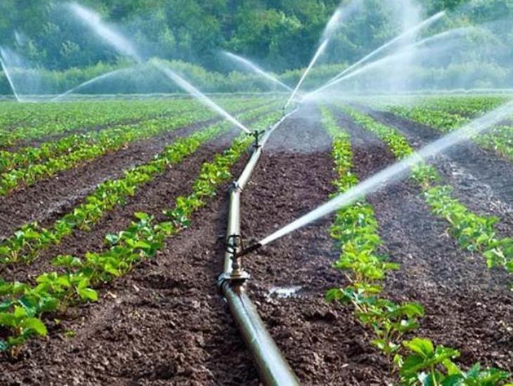 ‘Inyecta’ Conagua más de 180 mdp para mejorar infraestructura hidroagrícola en Veracruz