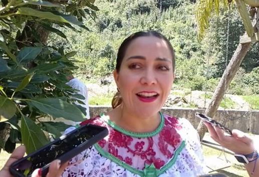 Falta mucho camino en los derechos de la población indígena Anilú Ingram