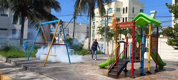 Fumigarán Boca del Río toda la temporada de lluvias para evitar dengue: Unánue