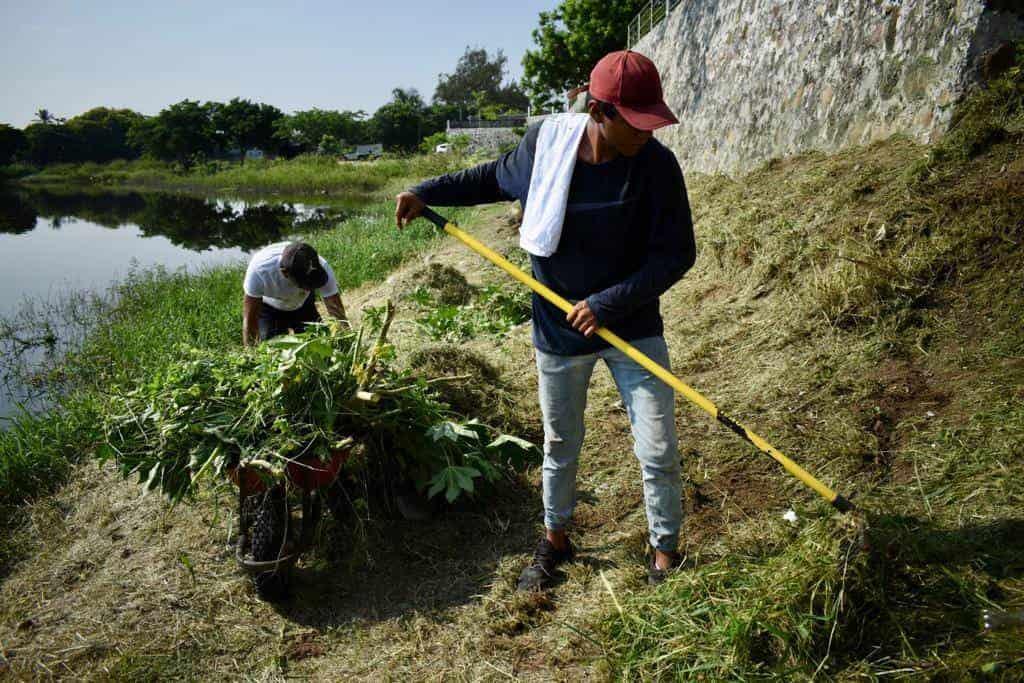 Reforestan laguna La Ilusión en Veracruz; había escombro y basura