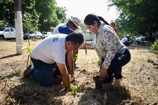 Reforestan laguna La Ilusión en Veracruz; había escombro y basura