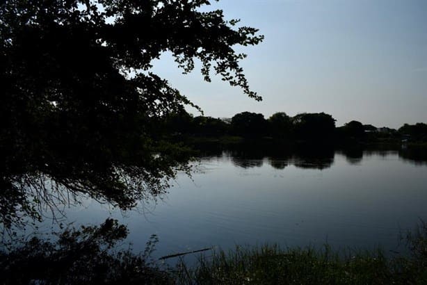 Reforestan laguna La Ilusión en Veracruz; había escombro y basura