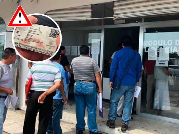 ¿Cuáles son los requisitos para tramitar una licencia de conducir para menores de edad en Veracruz?