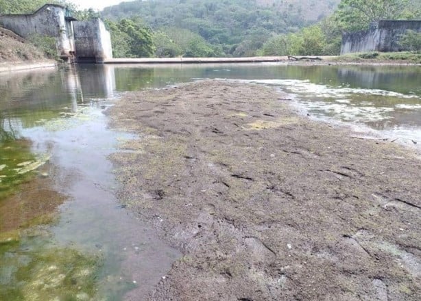Yurivia, 15 años sin desazolve: Conagua; principal fuente del sur hace más de 3 décadas