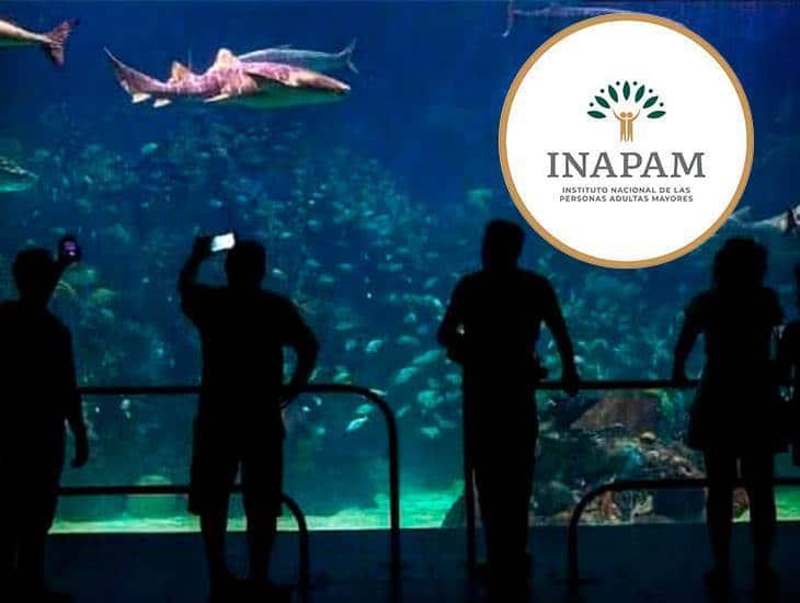 INAPAM: ¿hay descuento en el Acuario de Veracruz para los adultos mayores?