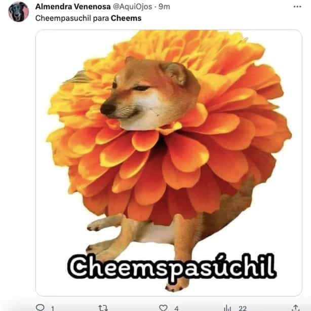 Internautas lamentan la muerte de Cheems y lo despiden con memes