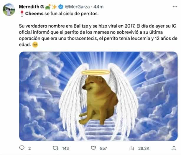 Internautas lamentan la muerte de Cheems y lo despiden con memes