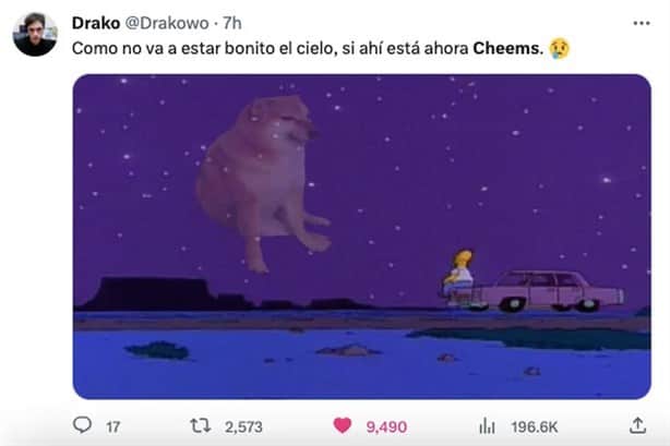 Internautas lamentan la muerte de Cheems y lo despiden con memes