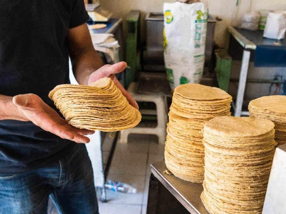 Kilo de tortilla en Veracruz podría aumentar hasta 30 pesos