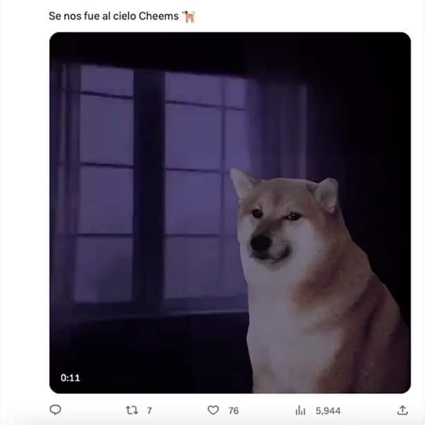 Internautas lamentan la muerte de Cheems y lo despiden con memes