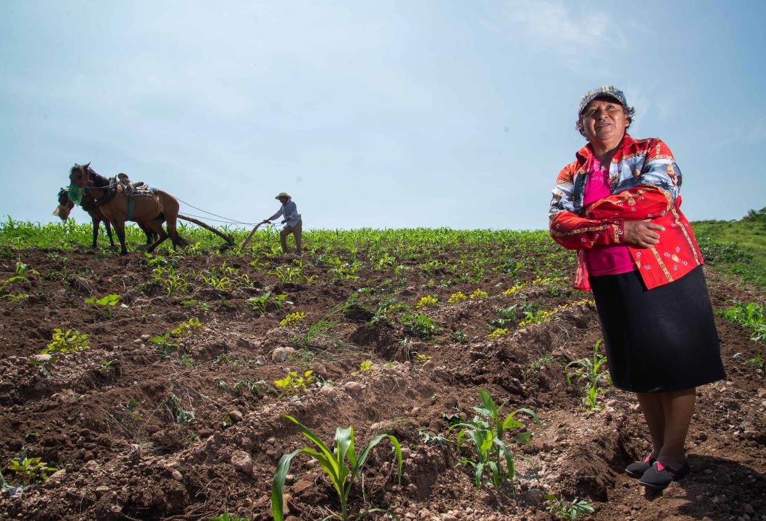 Incrementa a 10.3 millones la población en seguridad alimentaria: Coneval