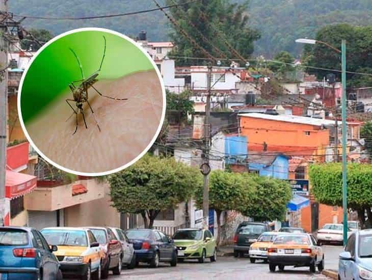 Reportan 5 casos de dengue en colonia de Veracruz