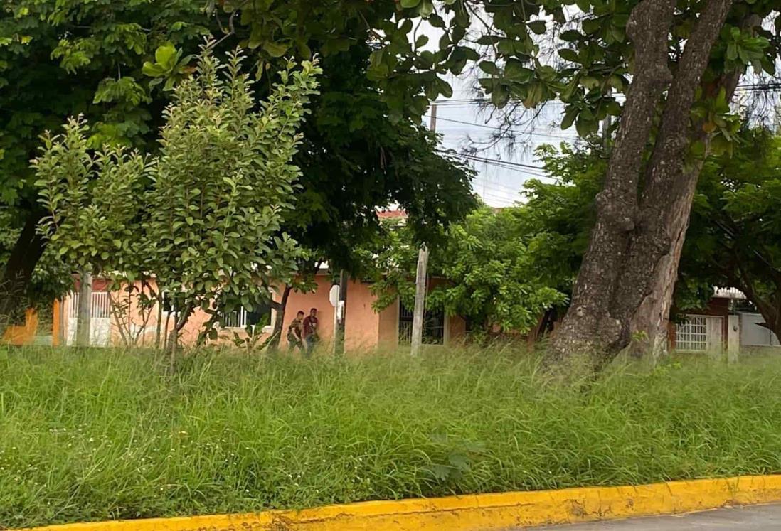 Camellón enmontado molesta a vecinos de Allende Norte en Veracruz