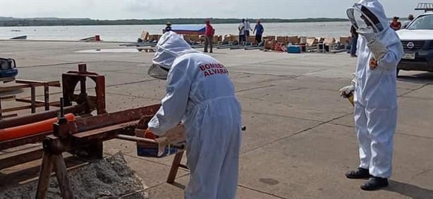 Bomberos retiran gigantesco enjambre de abejas en un taller de Alvarado