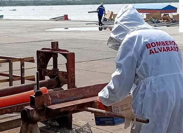 Bomberos retiran gigantesco enjambre de abejas en un taller de Alvarado