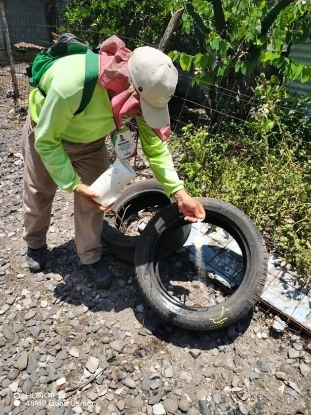 Refuerza Medellín campaña de combate al mosquito transmisor del dengue