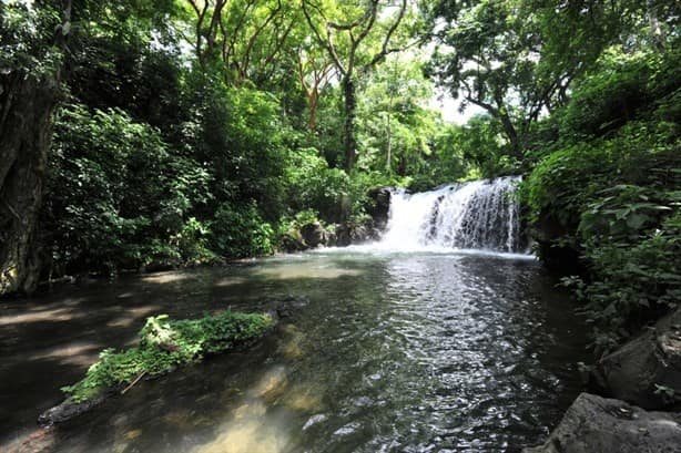 Esta es la reserva natural más destacada de Veracruz, según ChatGPT