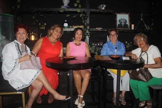 Comité de Damas Leonas de Veracruz efectúan primer evento con causa