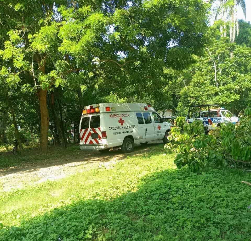 Muere campesino al desramar árbol en Tlalixcoyan