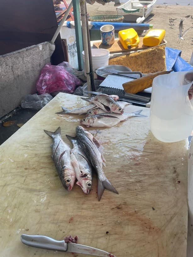 A sus 80 años, Manuel y La Máquina surcan el Golfo de México en busca de pescado