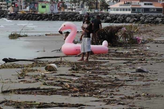 Advierten sobre la llegada de palizada a costas de Veracruz y Boca del Río