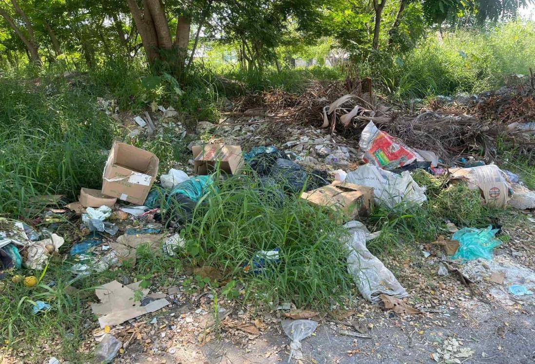 Se forma basurero en calles del fraccionamiento Floresta