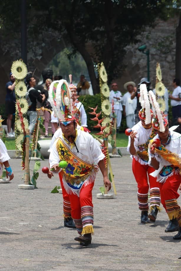 Participa Veracruz en Encuentro Nacional de Voladores en Los Pinos, en CdMx