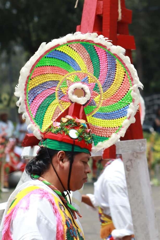 Participa Veracruz en Encuentro Nacional de Voladores en Los Pinos, en CdMx