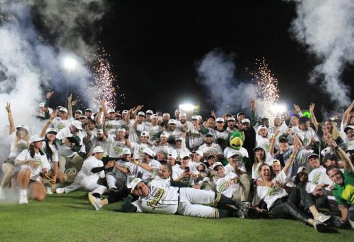 Pericos dan la campanada y eliminan a Leones en la final de la zona sur