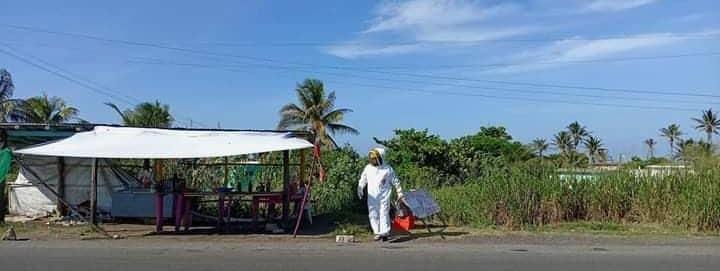 Abejas africanizadas atacan a comerciantes de mariscos en Alvarado