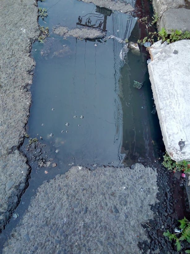 Zona de mercados en Veracruz, inundada de aguas negras