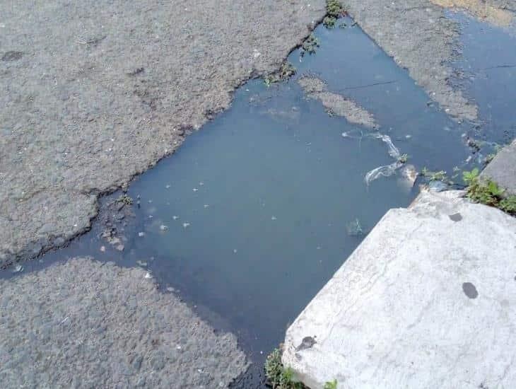 Zona de mercados en Veracruz, inundada de aguas negras