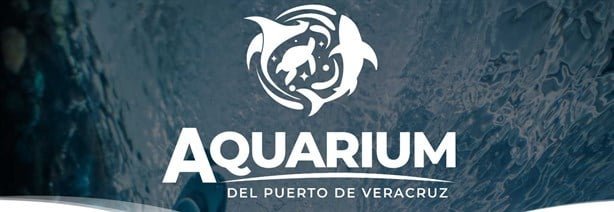 ¿Quieres ir al Acuario de Veracruz gratis? Aquí te decimos el día y cómo obtener tus boletos