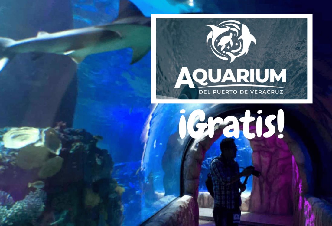 ¿Quieres ir al Acuario de Veracruz gratis? Aquí te decimos el día y cómo obtener tus boletos