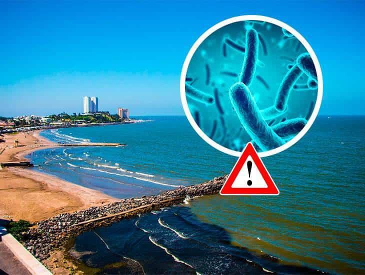 Bacteria come carne llega al Golfo de México; ¿hay peligro para Veracruz?