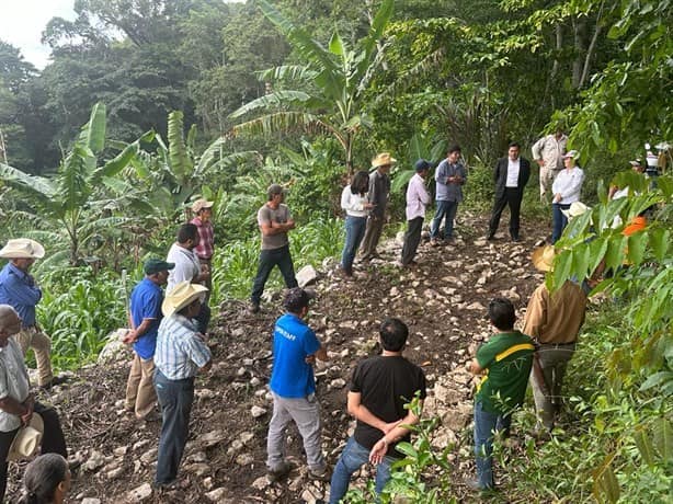 Realizará SIOP camino entre Paso del Macho y Atoyac, en Veracruz