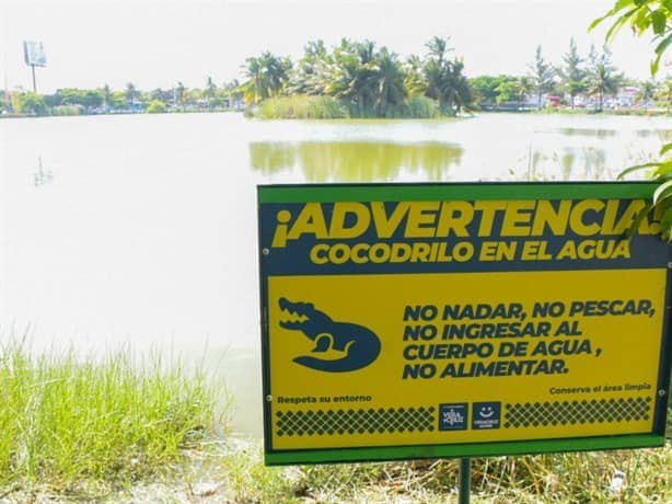 Con letrero, advierten de cocodrilo en laguna de Veracruz