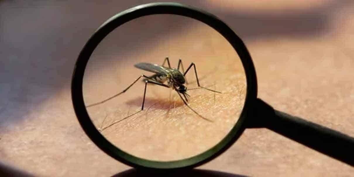 Detectan a veracruzanos Covid con dengue